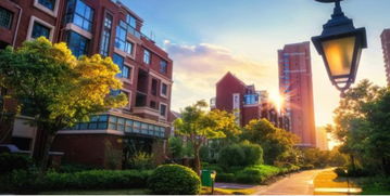 成都置信 做中國(guó)最優(yōu)秀的生活系統(tǒng)服務(wù)商